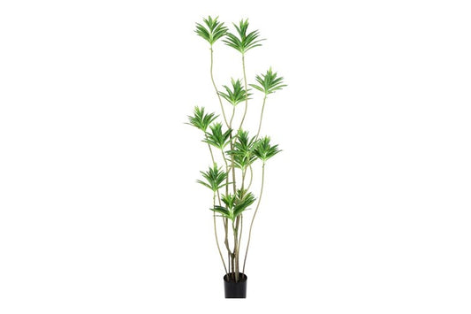 Künstliche Pflanze Dracaena L grün-L60B60H190CM