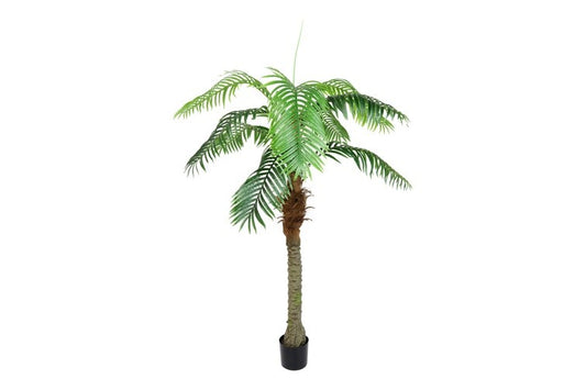 Kunstpflanze Cocos nucifera S grün-L100B100H180CM