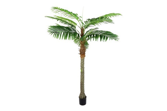 Kunstpflanze Cocos nucifera M grün-L160B160H220CM