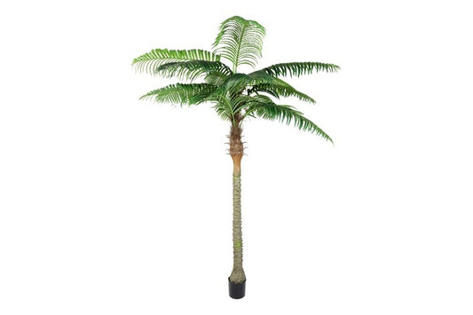 Kunstpflanze Cocos nucifera L grün-L180B180H250CM