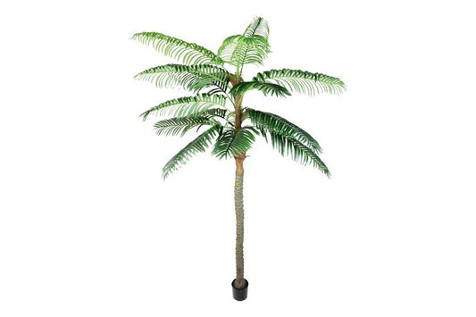 Kunstplant Cocos nucifera XL groen-L220B220H300CM