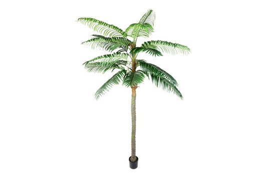 Art plant Cocos nucifera XXL green-L270B270H350CM