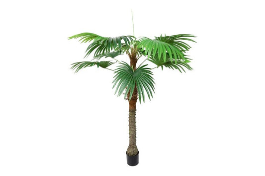 Kunstplant Trachycarpus S groen-L100B100H180CM