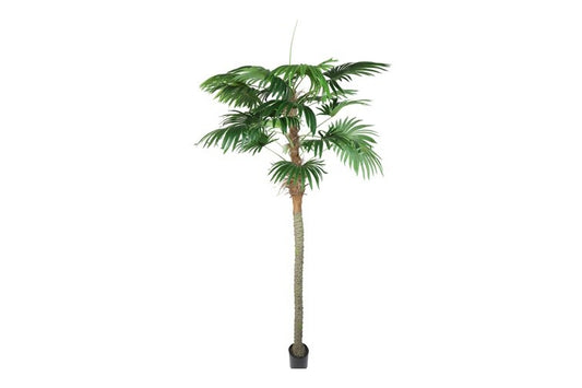 Kunstplant Trachycarpus XL groen-L220B220H300CM