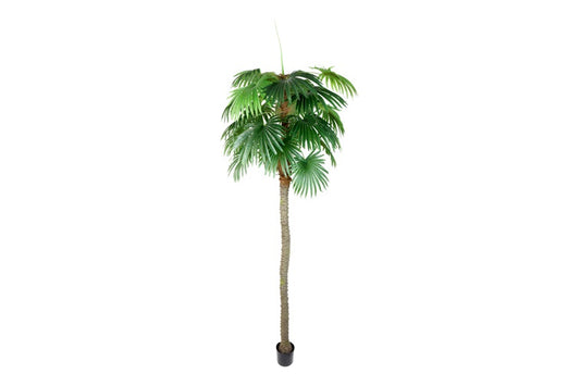 Art plant Trachycarpus XXL green-L280B280H350CM