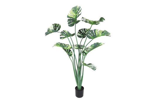 Kunstplant Monstera variegata L groen-L120B120H160CM