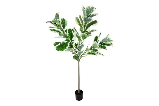 Kunstplant Ficus lyrata M groen-L110B110H160CM