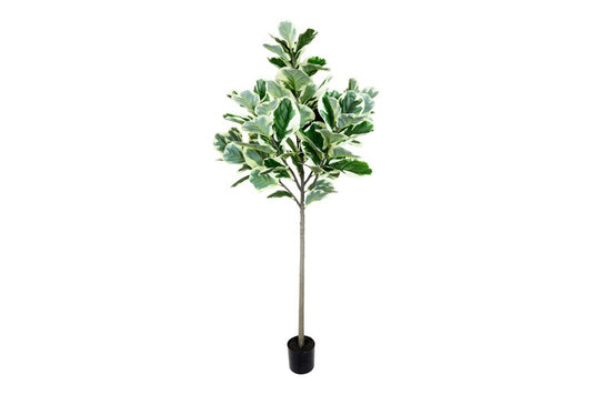 Kunstplant Ficus lyrata L groen-L130B130H190CM