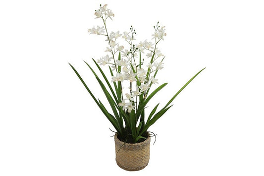Kunstplant Phalaenopsis L wit-L45B45H72CM