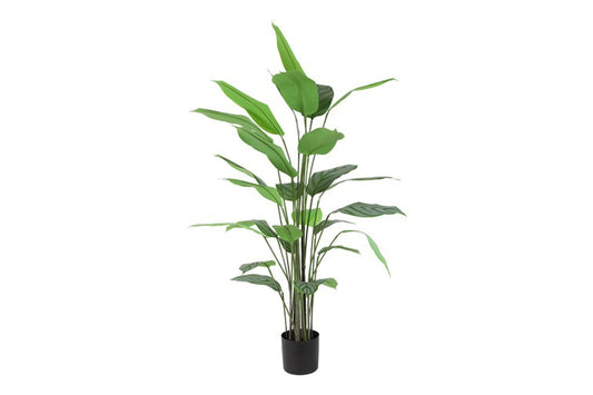 Kunstplant Maranta groen-L85B70H170CM