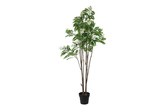 Kunstplant Cassia glauca L wit-L70B70H180CM