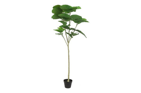 Kunstplant Ficus Umbellata S groen-L90B65H160CM