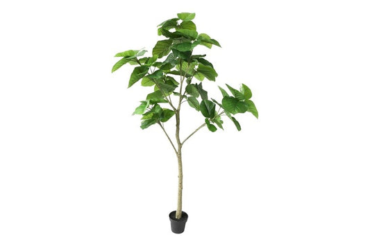 Kunstplant Ficus Umbellata L groen-L120B80H220CM