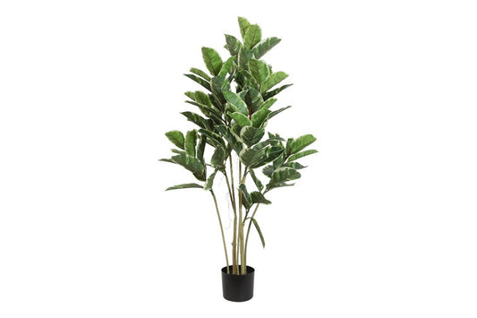Kunstplant Ficus elastica 'Tineke' S groen-L52B62H120CM