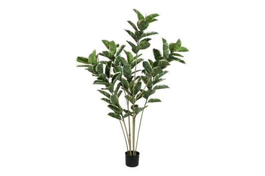 Kunstplant Ficus elastica 'Tineke' M groen-L55B75H155CM