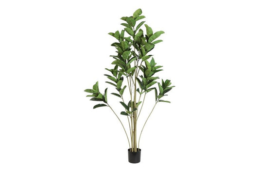 Kunstplant Ficus elastica L groen-L75B75H180CM