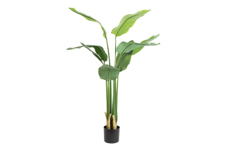 Artificial plant Strelitzia M green-L84B30H150CM