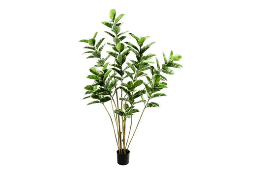 Kunstplant Ficus elastica 'Tineke' L groen-L75B75H180CM