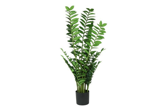 Kunstplant Zamioculcas groen-L65B60H130CM
