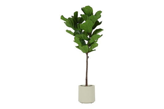 Kunstplant Ficus lyrata S groen-L65B44H130CM