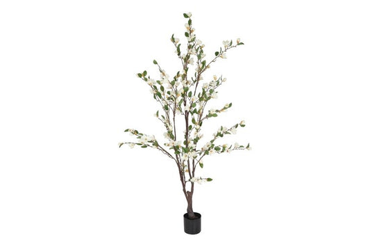 Kunstplant Magnolia L wit-L85B65H170CM