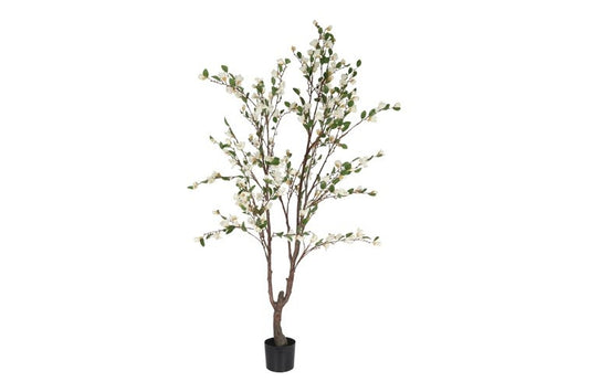 Kunstplant Magnolia XL wit-L85B65H200CM