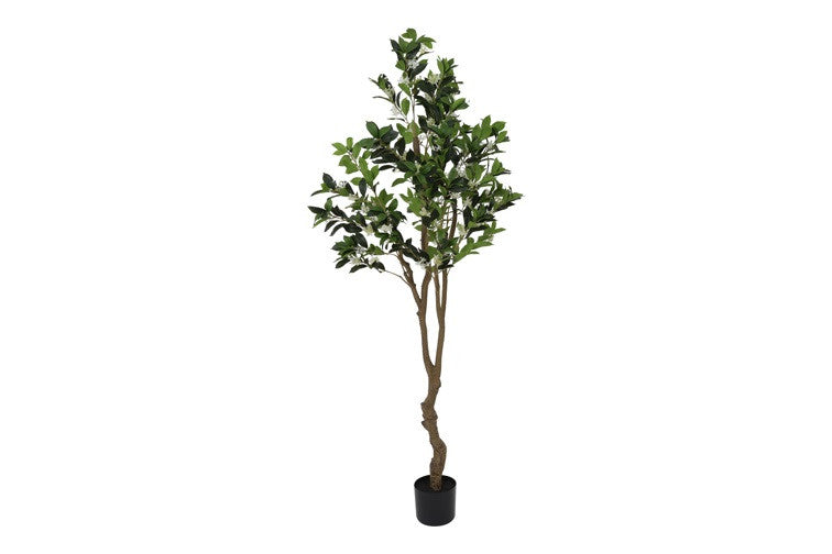 Kunstplant Osmanthus fragrans L wit-L50B50H180CM