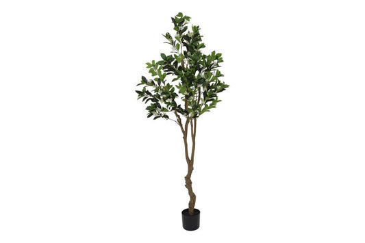 Kunstplant Osmanthus fragrans L wit-L50B50H180CM
