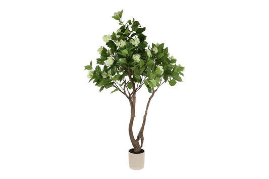 Art plant Dracena soft touch green-L70B70H175CM