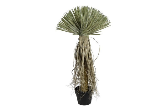 Kunstplant Yucca Rostrata S groen-L50B50H90CM