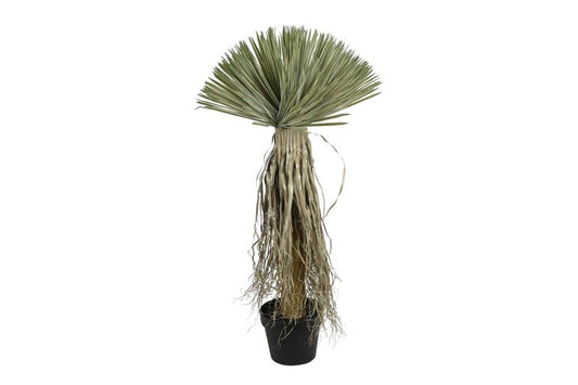 Kunstplant Yucca Rostrata L groen-L65B65H120CM