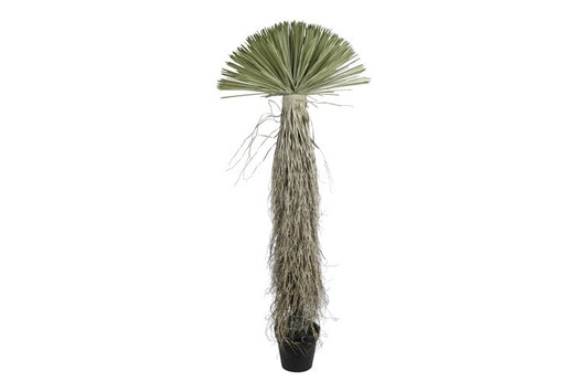 Artificial plant Dracena soft touch green-L70B70H175CM