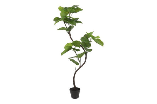 Kunstplant Ficus Umbellata real touch S groen-L67B43H120CM