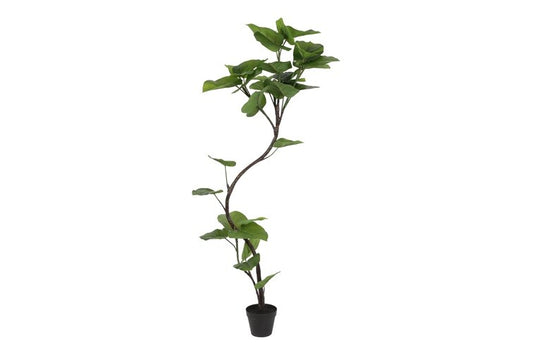Kunstplant Ficus Umbellata real touch L groen-L72B50H150CM
