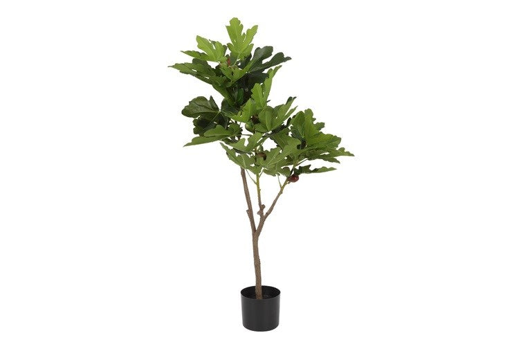 Kunstpflanze Ficus Carica Real Touch L grün-L70B60H120CM