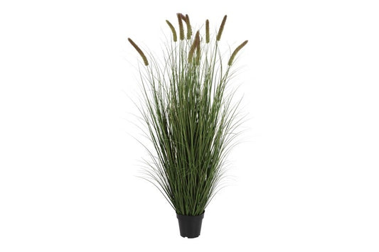 Kunstplant Perotis Patens 10 L groen-L30B30H150CM