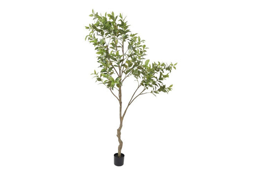 Kunstplant Osmanthus boom groen-L110B110H210CM