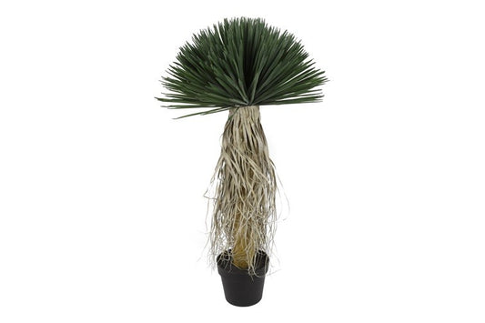 Kunstplant Yucca Rostrata M groen-L65B65H120CM