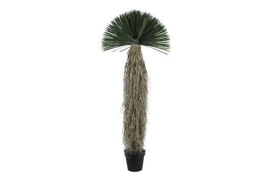 Kunstplant Yucca Rostrata L groen-L70B70H175CM