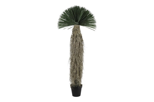 Art plant Yucca Rostrata L green-L70B70H175CM