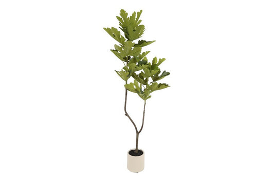 Kunstplant Ficus carica S groen-L155B80H112CM