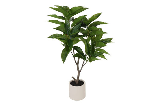 Kunstplant Ficus magnolii S groen-L125B40H60CM