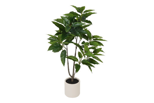 Art Plant Ficus magnolii M green-L155B45H65CM