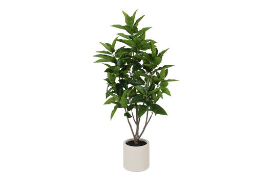 Art Plant Ficus magnolii L green-L195B50H70CM