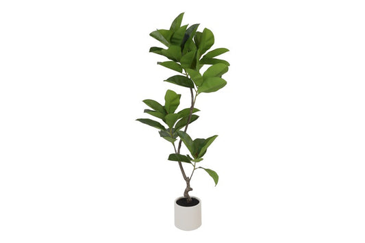 Kunstplant Ficus elastica S groen-L130B20H30CM