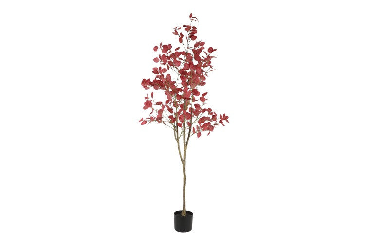Kunstplant Eucalyptus L rood-L50B50H180CM
