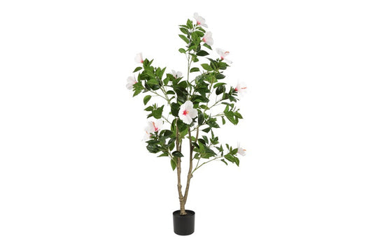 Kunstplant Hibiscus L wit-L60B60H145CM