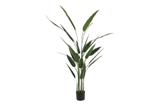 Kunstplant Strelitzia L groen-L60B60H180CM