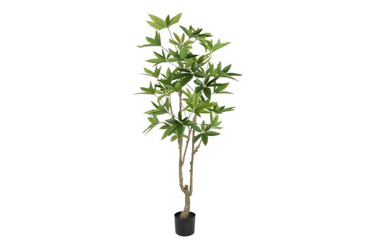 Kunstplant Pachira L groen-L60B60H160CM