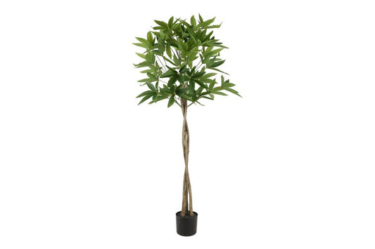 Kunstplant Pachira groen-L60B60H165CM